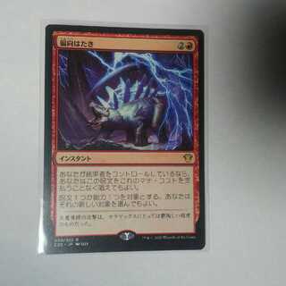 偏向はたき　日本語