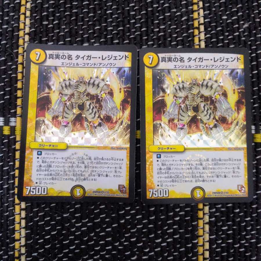 真実の名 タイガー・レジェンド