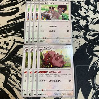 ホシガリス　ヨクバリス