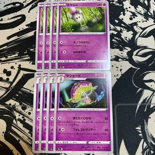 ネマシュ　マシェード