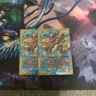 C.A.P アアルカイト 2枚セット