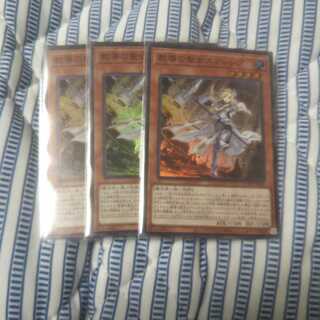 教導の聖女エクレシア