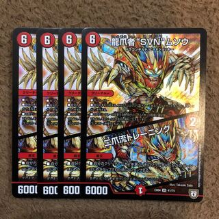 龍爪者“SVN”ムソウ｜二爪流トレーニング