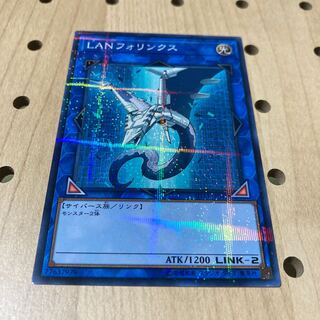 LANフォリンクス P-N