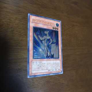 N・アクア・ドルフィン UL