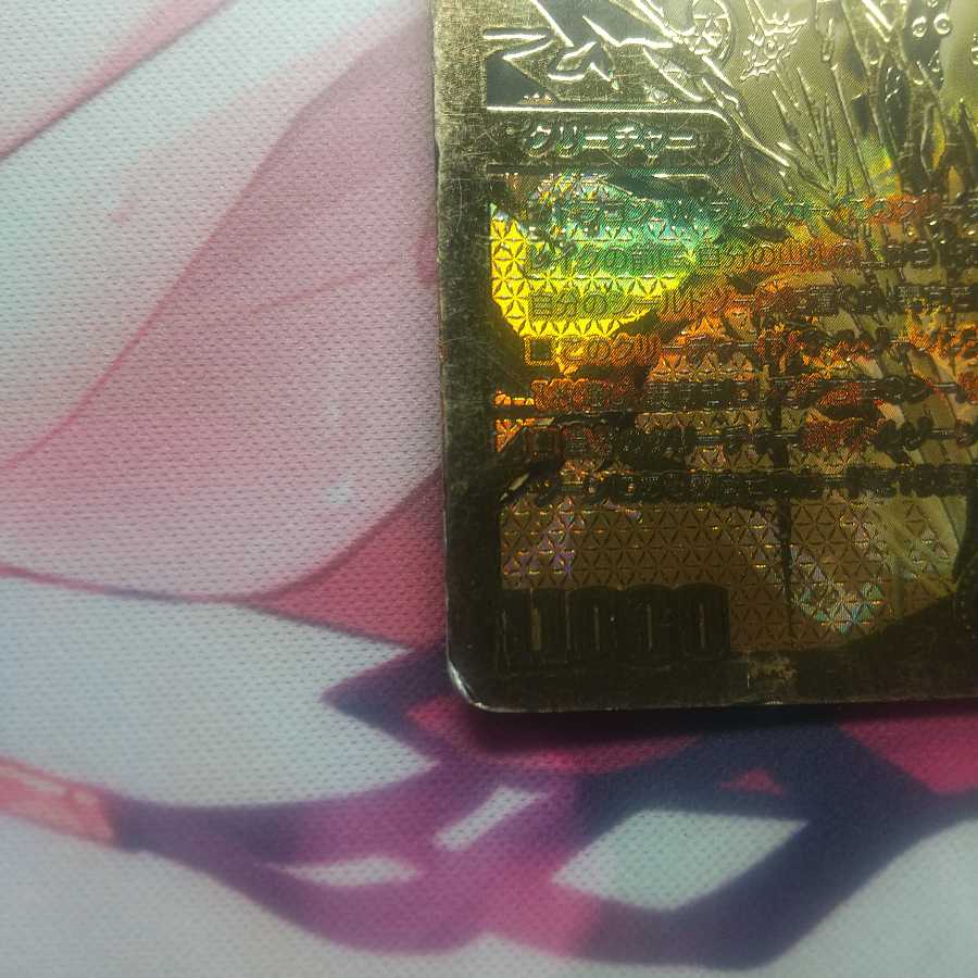 煌龍 サッヴァーク