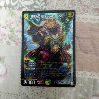 我怒の鎖  パンサーベア