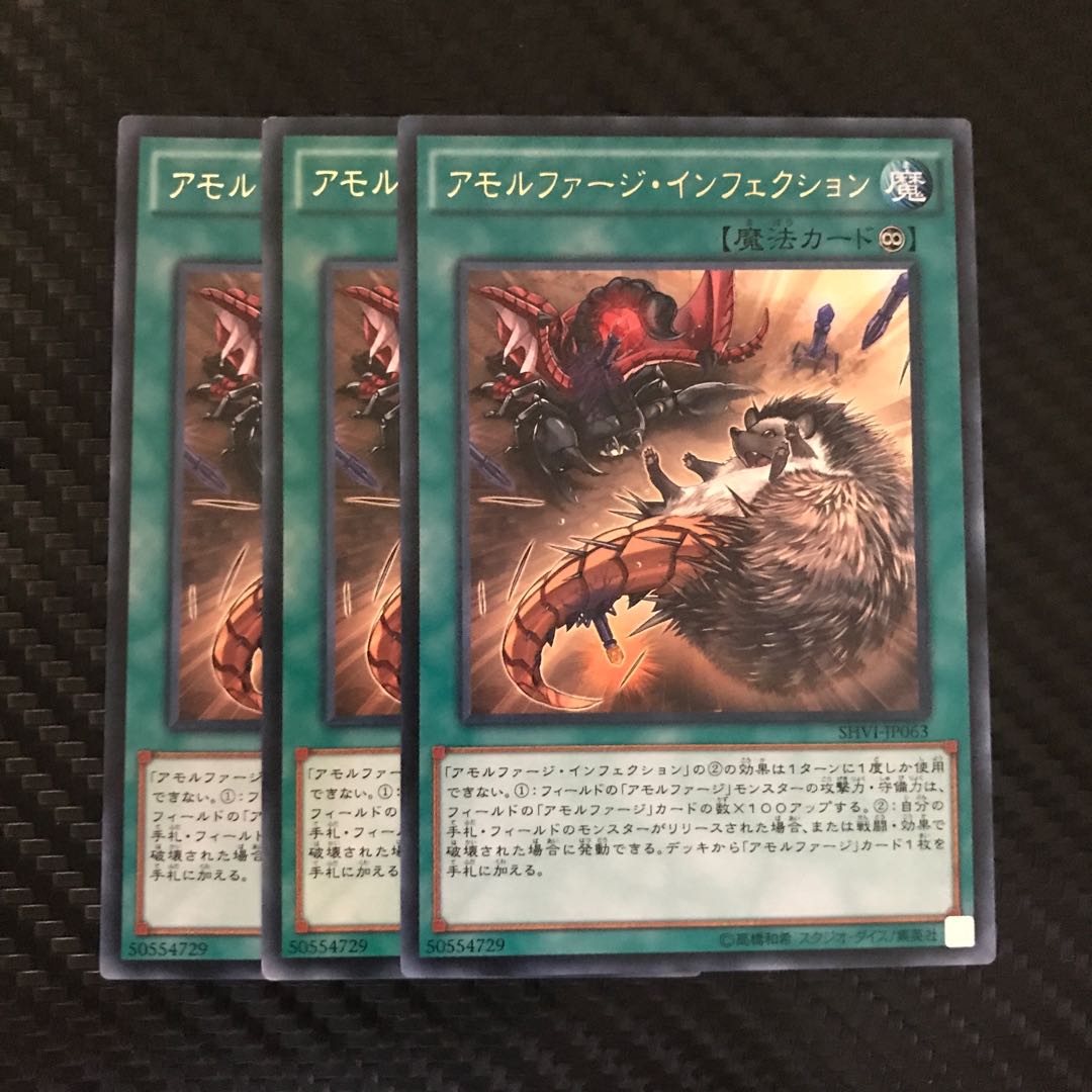 アモルファージ・インフェクション R