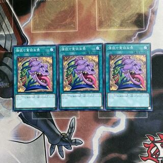 強欲で貪欲な壺