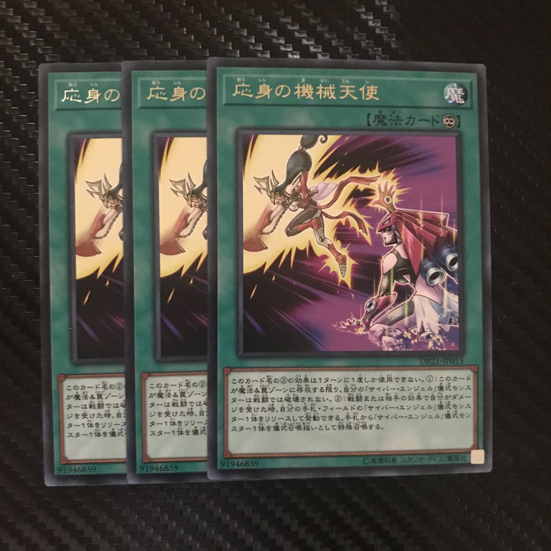 応身の機械天使 R