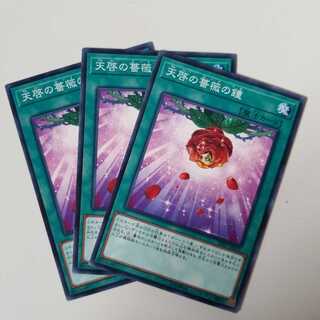 天啓の薔薇の鐘 N