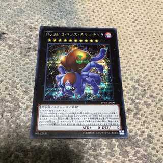 No.35　ラべノス・タランチュラ