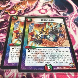 蒼龍の大地 4枚 jmh様専用