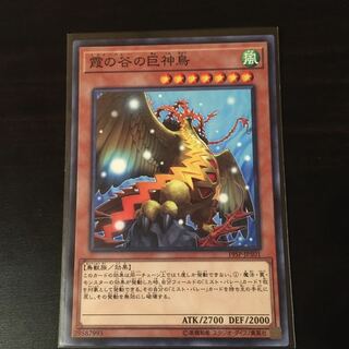 霞の谷の巨神鳥 N