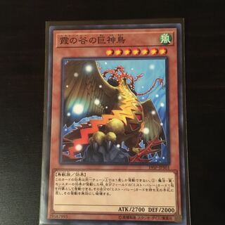 霞の谷の巨神鳥 N