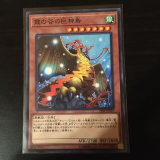 霞の谷の巨神鳥 N