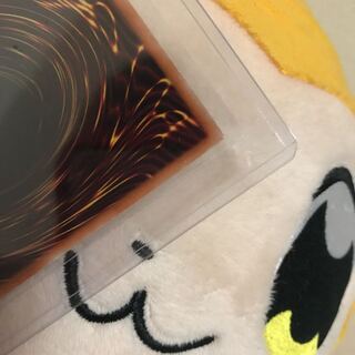 墓穴 抹殺 ハーピィ 専用