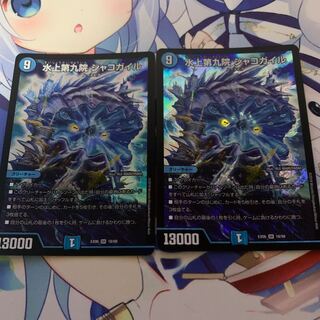 水上第九院 シャコガイル