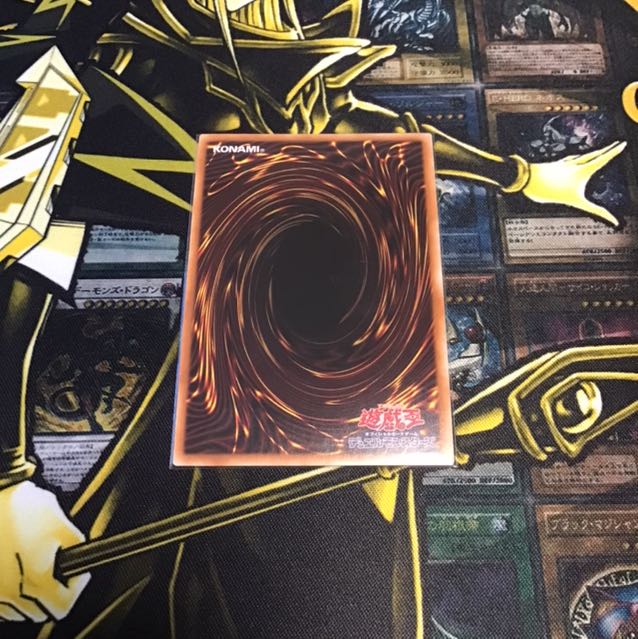 まさお様専用 九字切りの呪符+ハーピィの羽箒20thSE