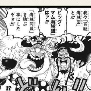 もぐらさん専用