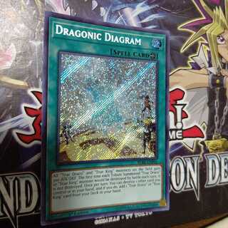 ドラゴニックD（ダイアグラム）