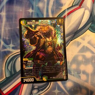 我怒の鎖　パンサーベア