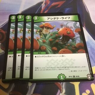 4枚　アシダケライフ