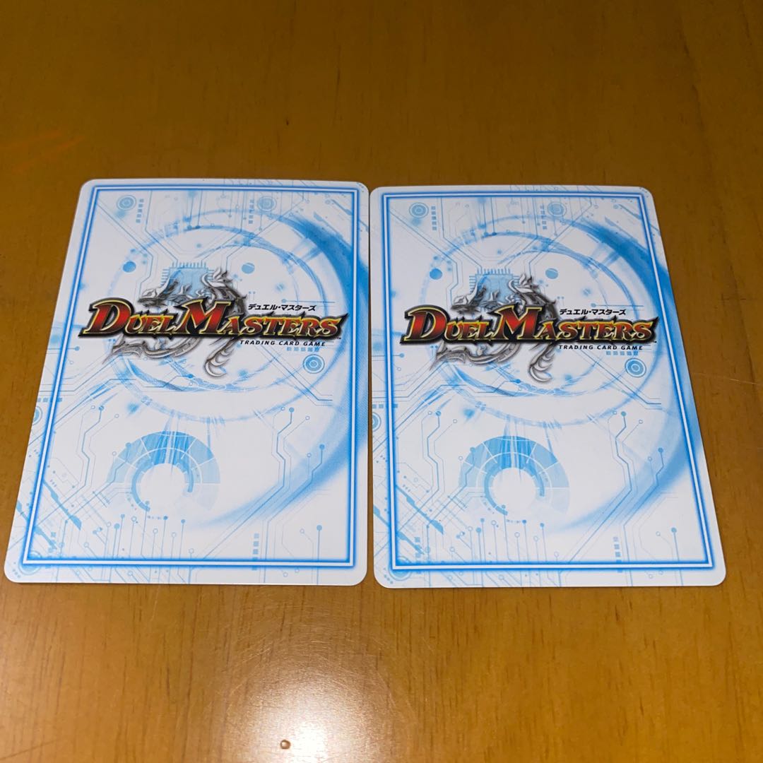 ヤンバルクイナ様専用ゴッド・ガヨンダム SE二枚セット