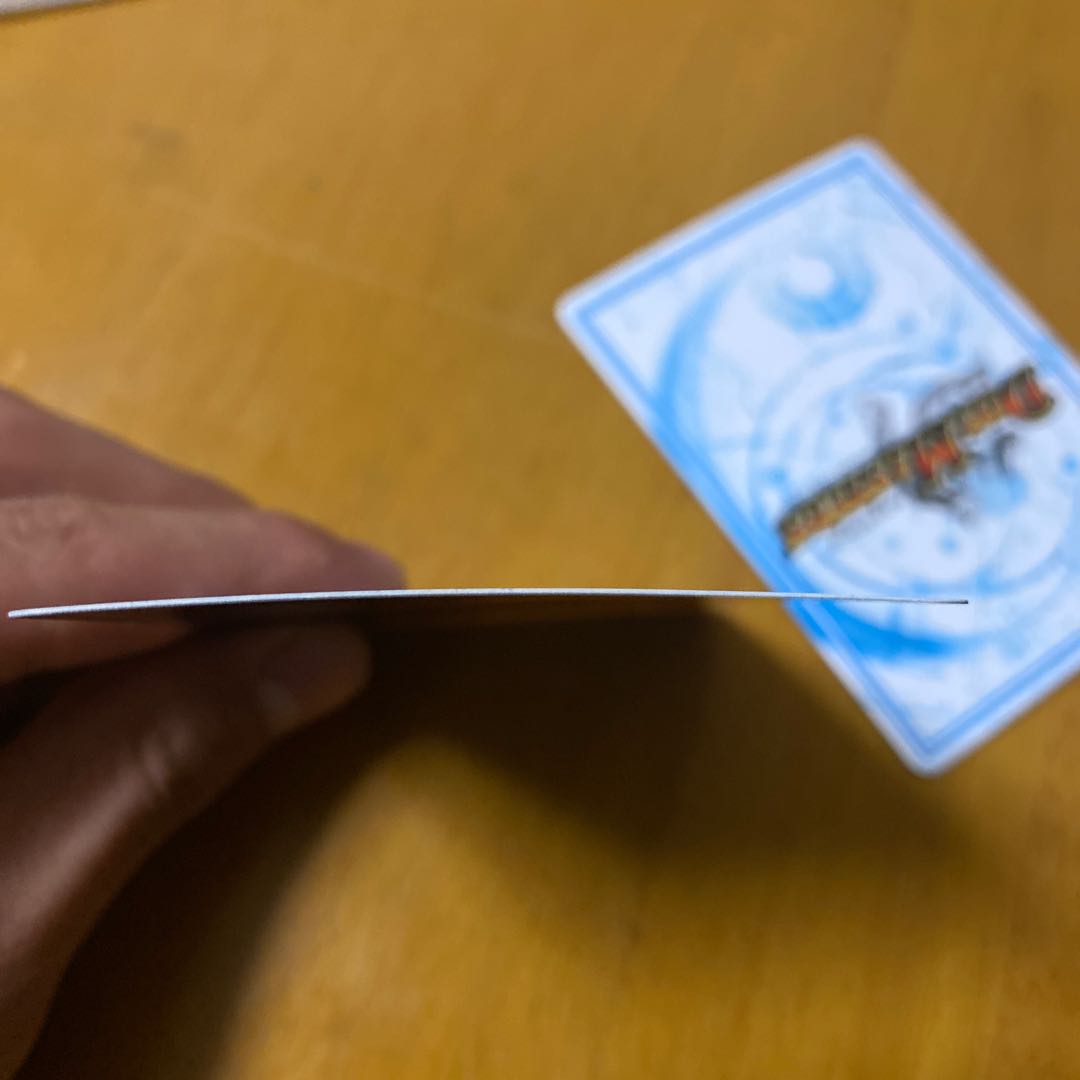 ヤンバルクイナ様専用ゴッド・ガヨンダム SE二枚セット