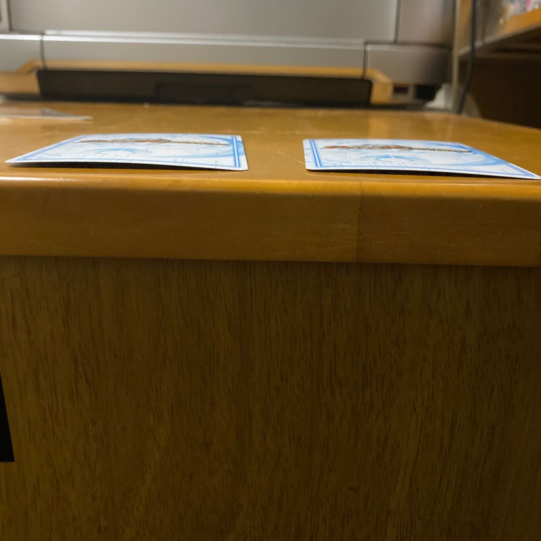 ヤンバルクイナ様専用ゴッド・ガヨンダム SE二枚セット