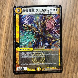 聖霊龍王 アルカディアスD