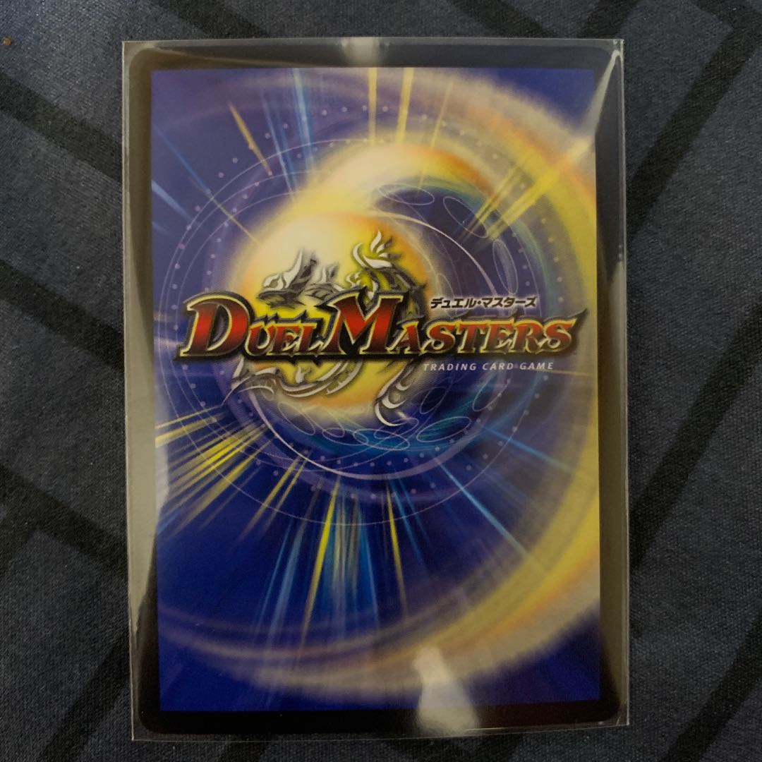 「雷光の聖騎士」