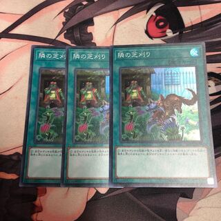 遊戯王 隣の芝刈り 3枚セット