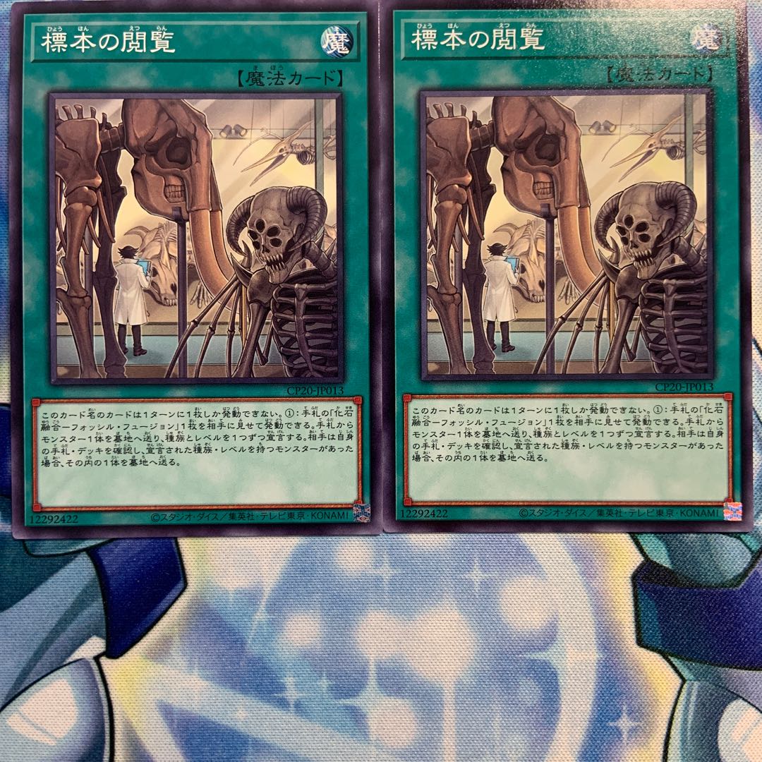 【N】標本の閲覧 2枚 CP20-JP013