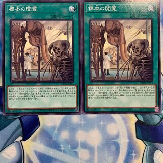 【N】標本の閲覧 2枚 CP20-JP013