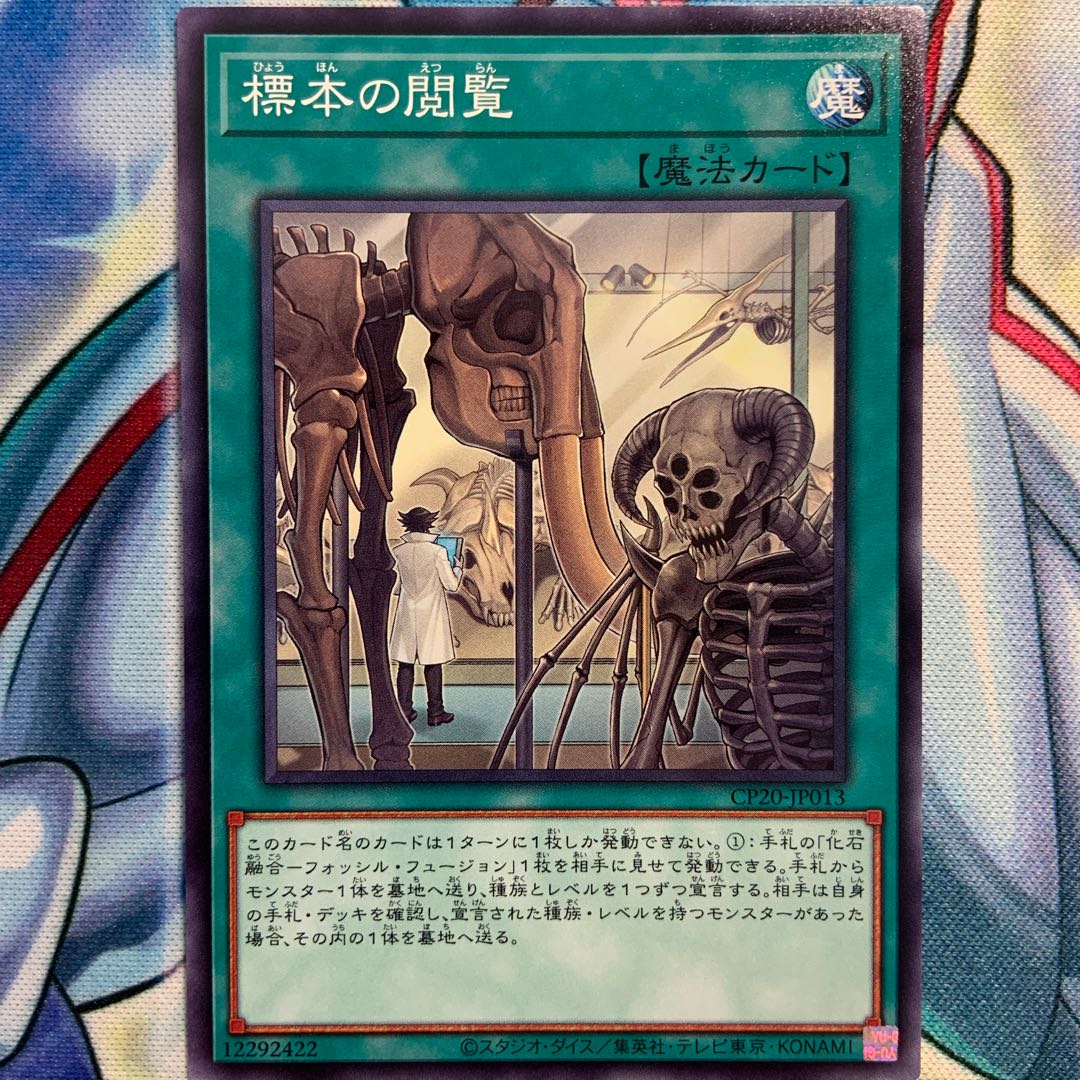 【N】標本の閲覧 2枚 CP20-JP013