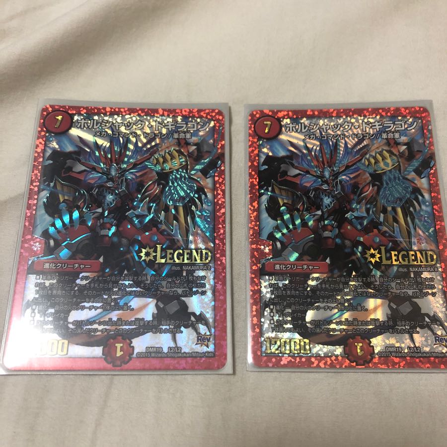 Bolshak dragon (extinct genus of dugong)