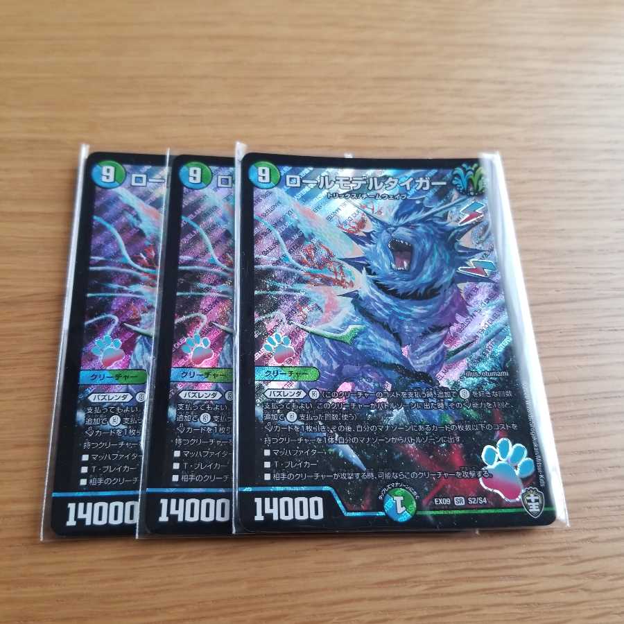 ロールモデルタイガー SR