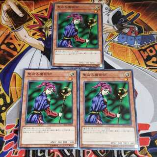 聖なる魔術師 N 遊戯王 虎ふぐ