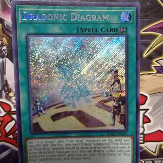ドラゴニックD（ダイアグラム）