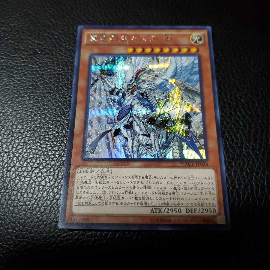 真竜剣皇マスターP