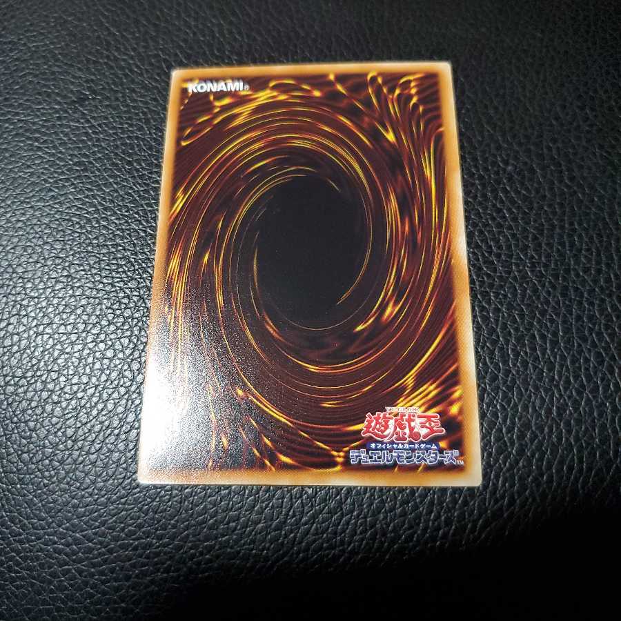 真竜剣皇マスターP