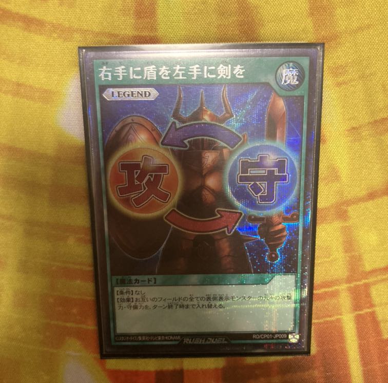 右手に盾を左手に剣を