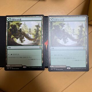 枝重なる小道 2枚