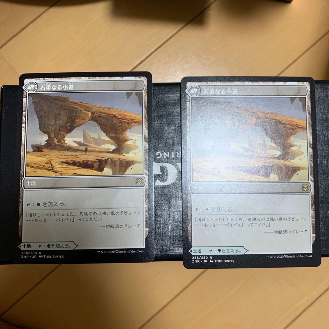 枝重なる小道 2枚