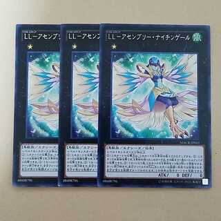 LLーアセンブリー・ナイチンゲール3枚セット