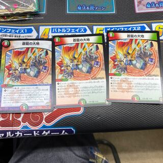 蒼龍の大地　3枚　翌日発送