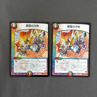 蒼龍の大地　2枚セット