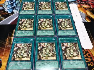 魔法族の里 レア 9枚セット てら