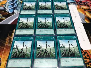 竜の霊廟 レア 9枚セット てら